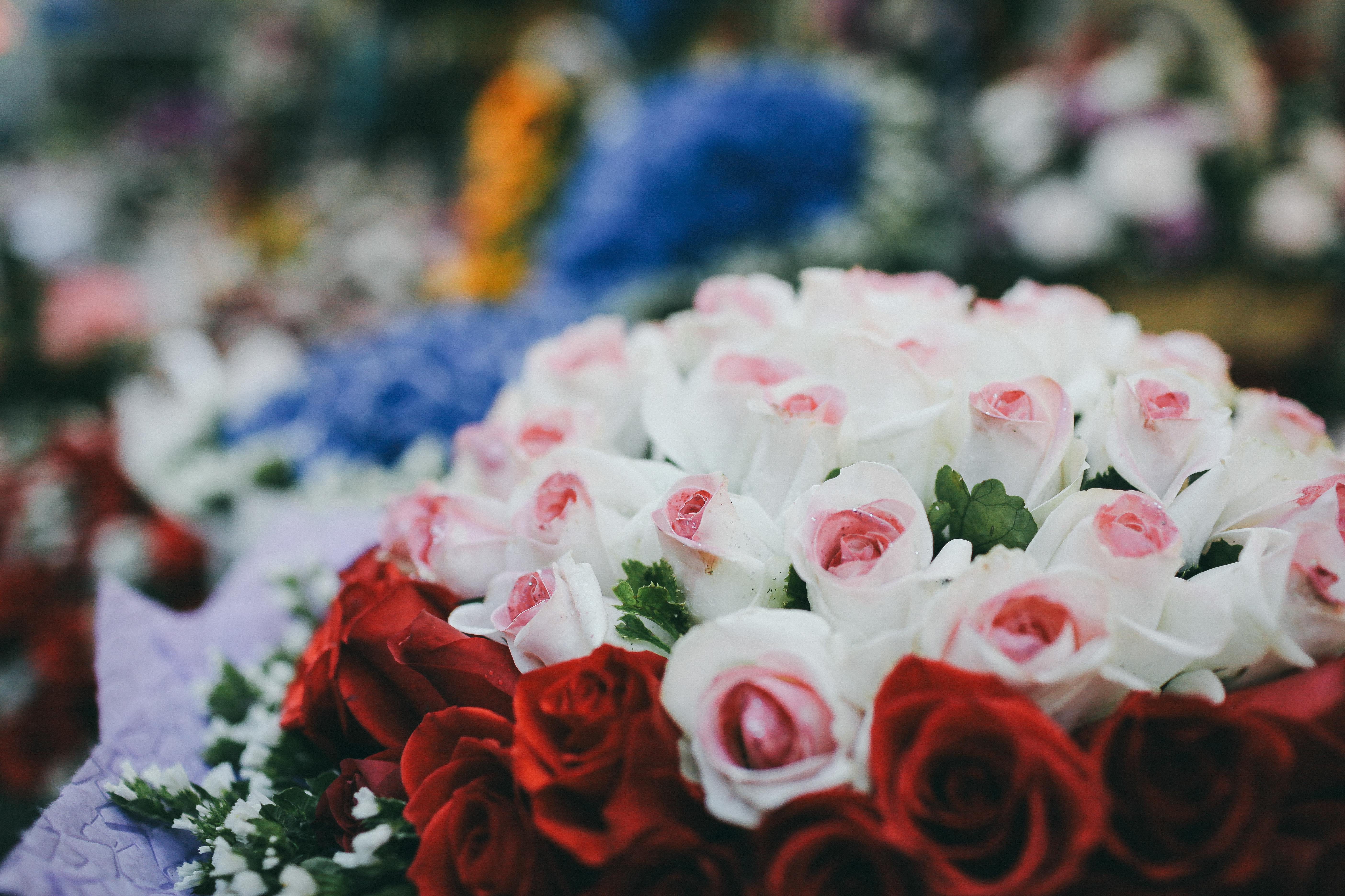 valentine sai gon,  valentine 2017,  hoa hong,  hoa tuoi,  hoa hong giay,  gau bong,  thu bong,  cap doi,  yeu nhau,  gioi tre anh 2