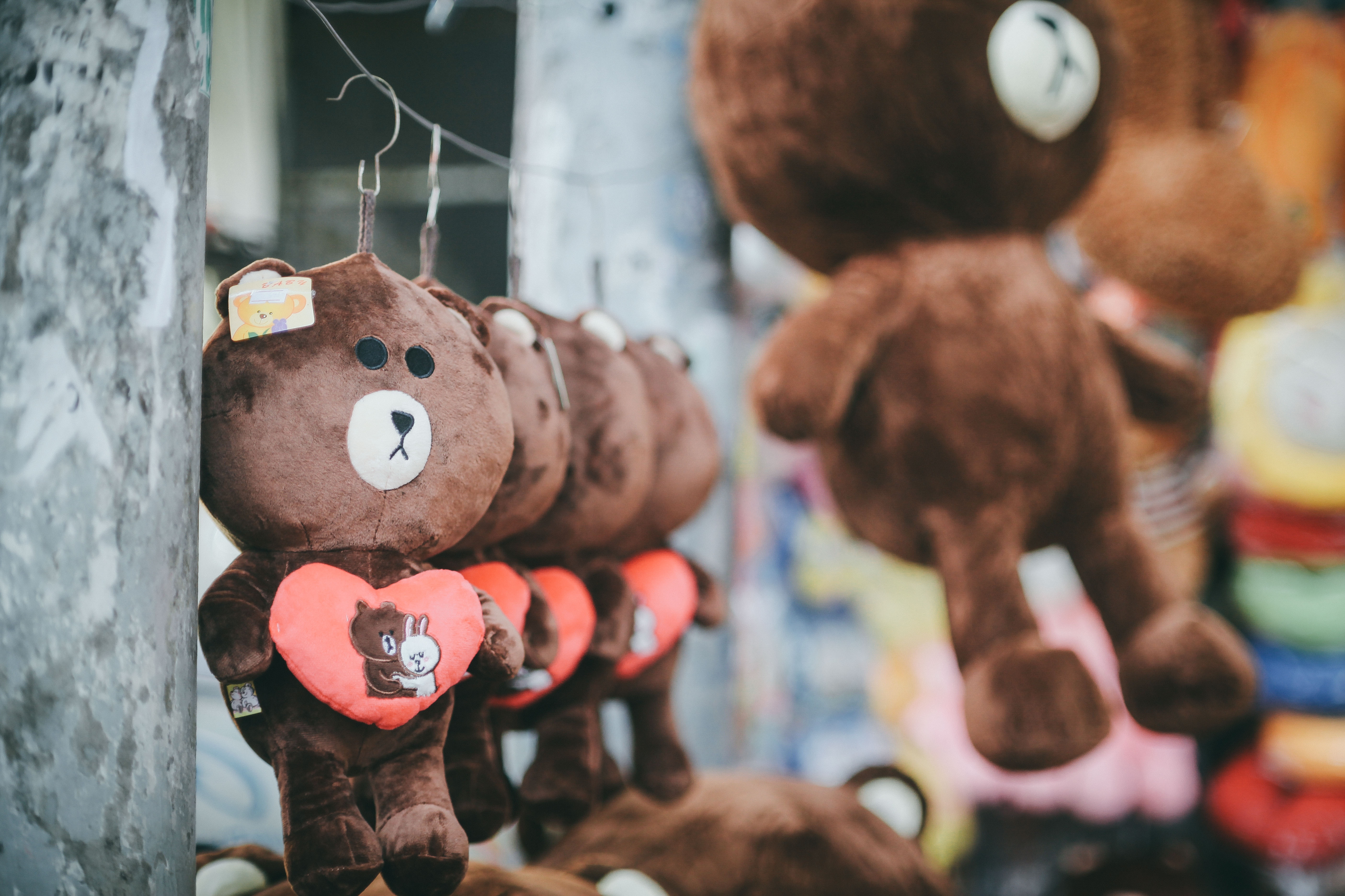 valentine sai gon,  valentine 2017,  hoa hong,  hoa tuoi,  hoa hong giay,  gau bong,  thu bong,  cap doi,  yeu nhau,  gioi tre anh 9