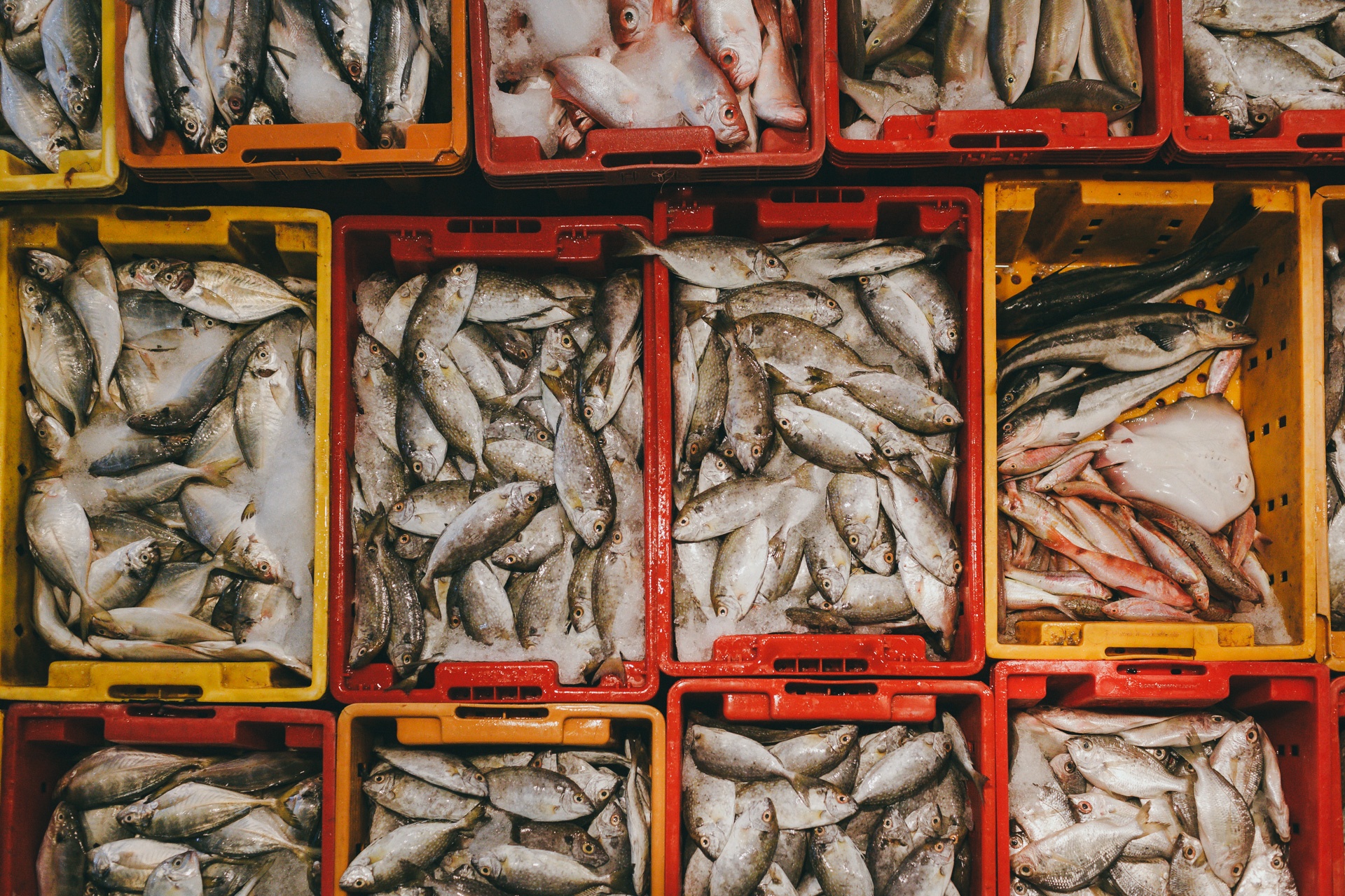 cho dau moi binh dien,  cho dem sai gon anh 10