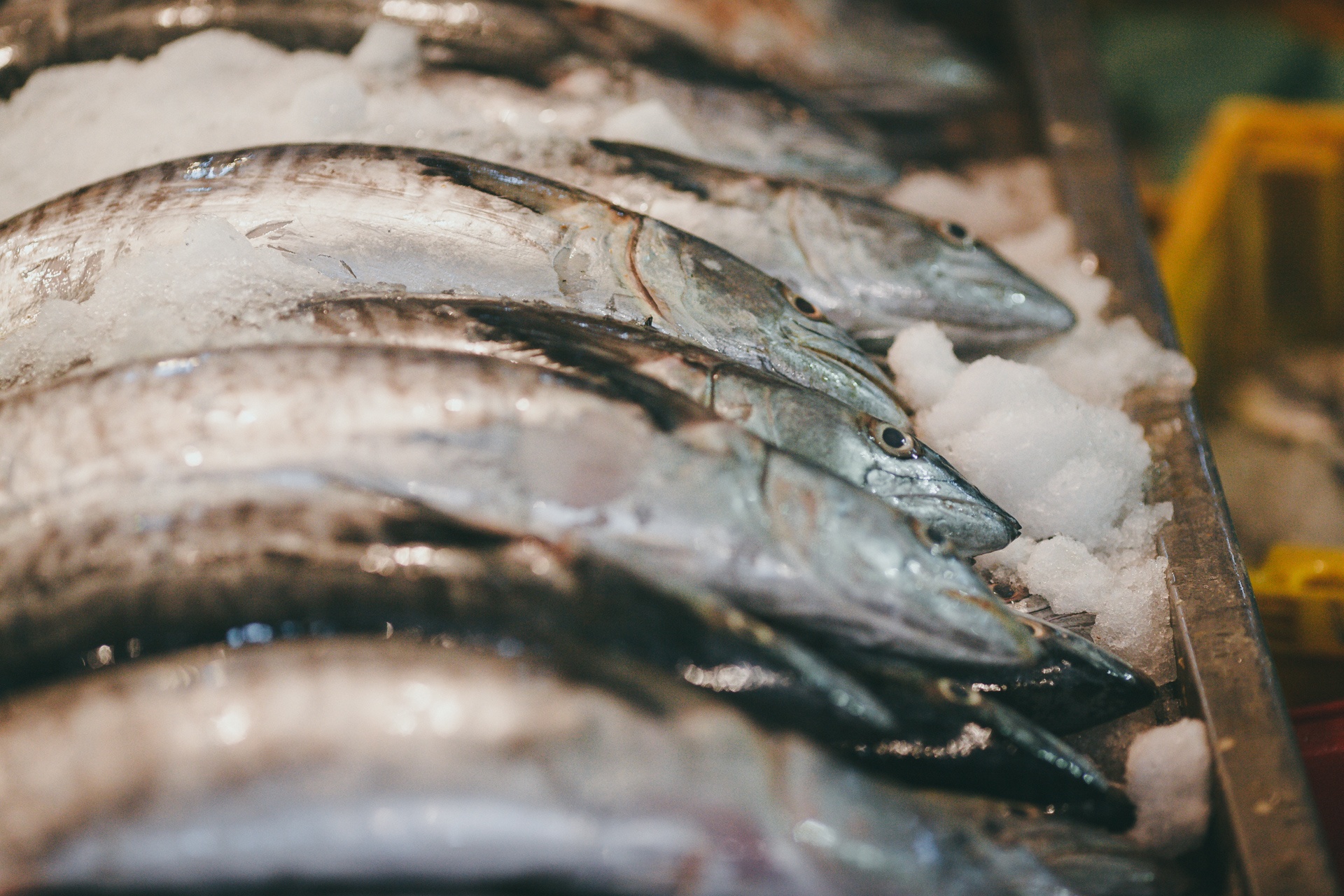 cho dau moi binh dien,  cho dem sai gon anh 13