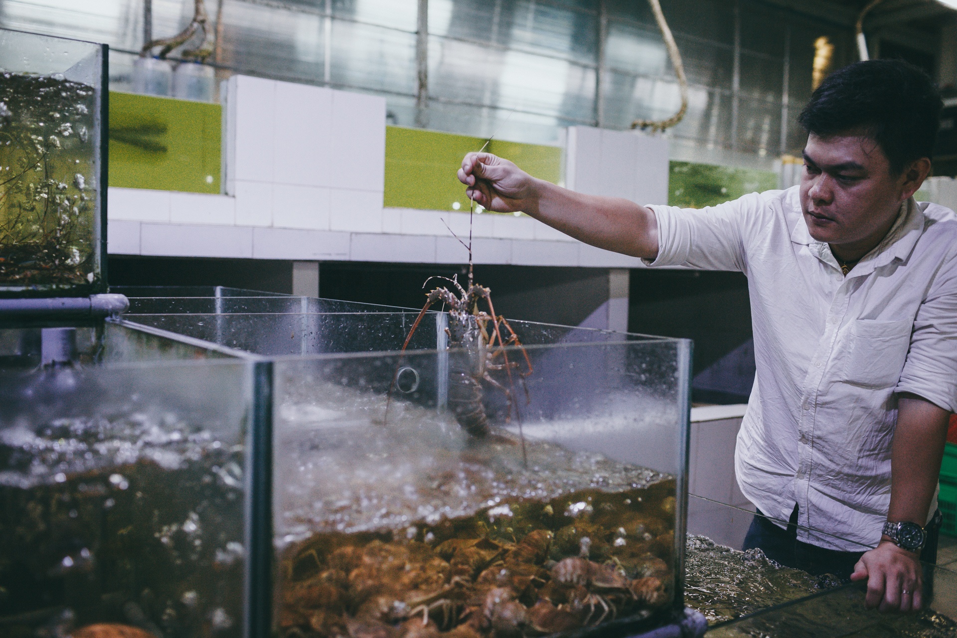 cho dau moi binh dien,  cho dem sai gon anh 19