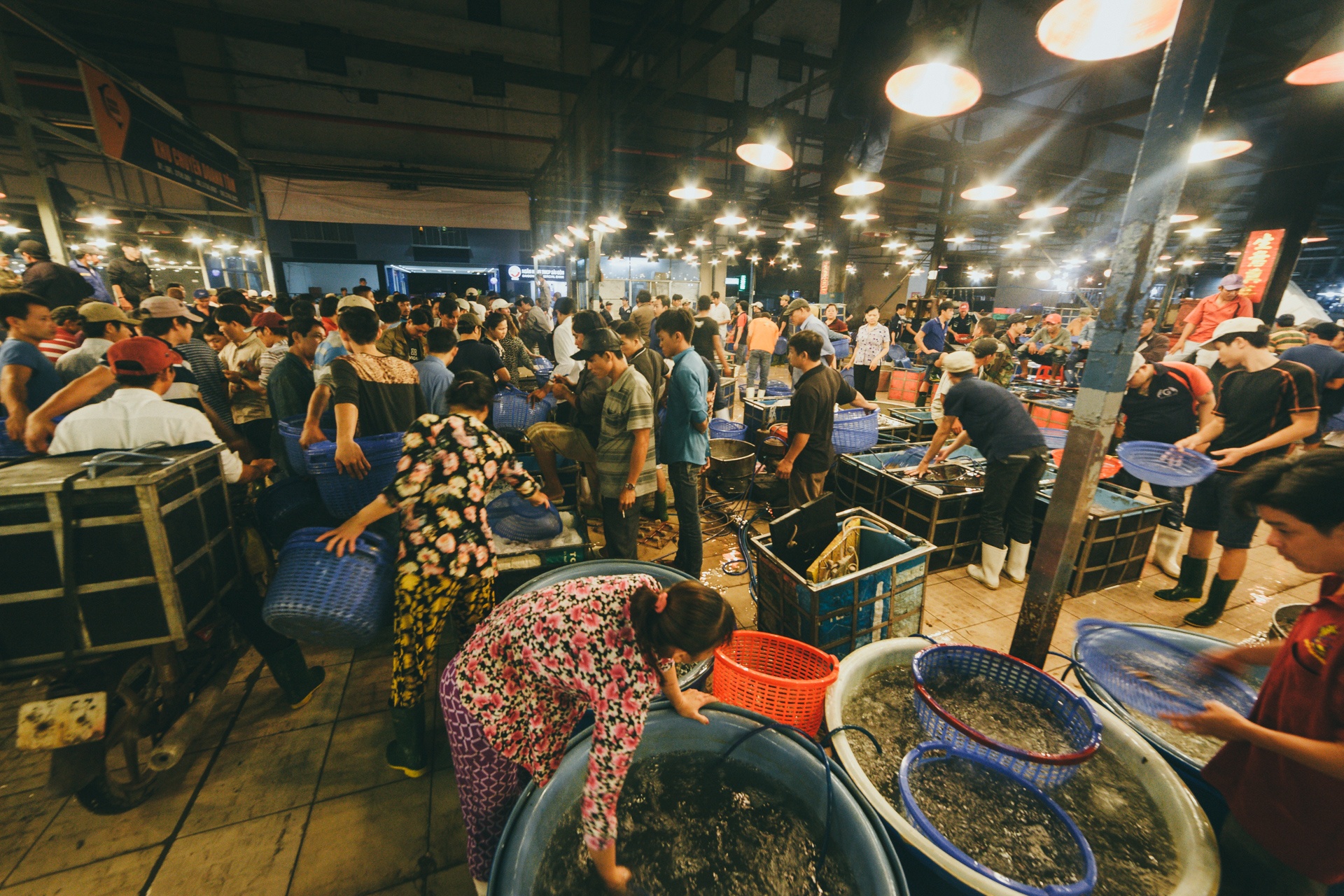 Dem o cho dau moi lon nhat Viet Nam hinh anh