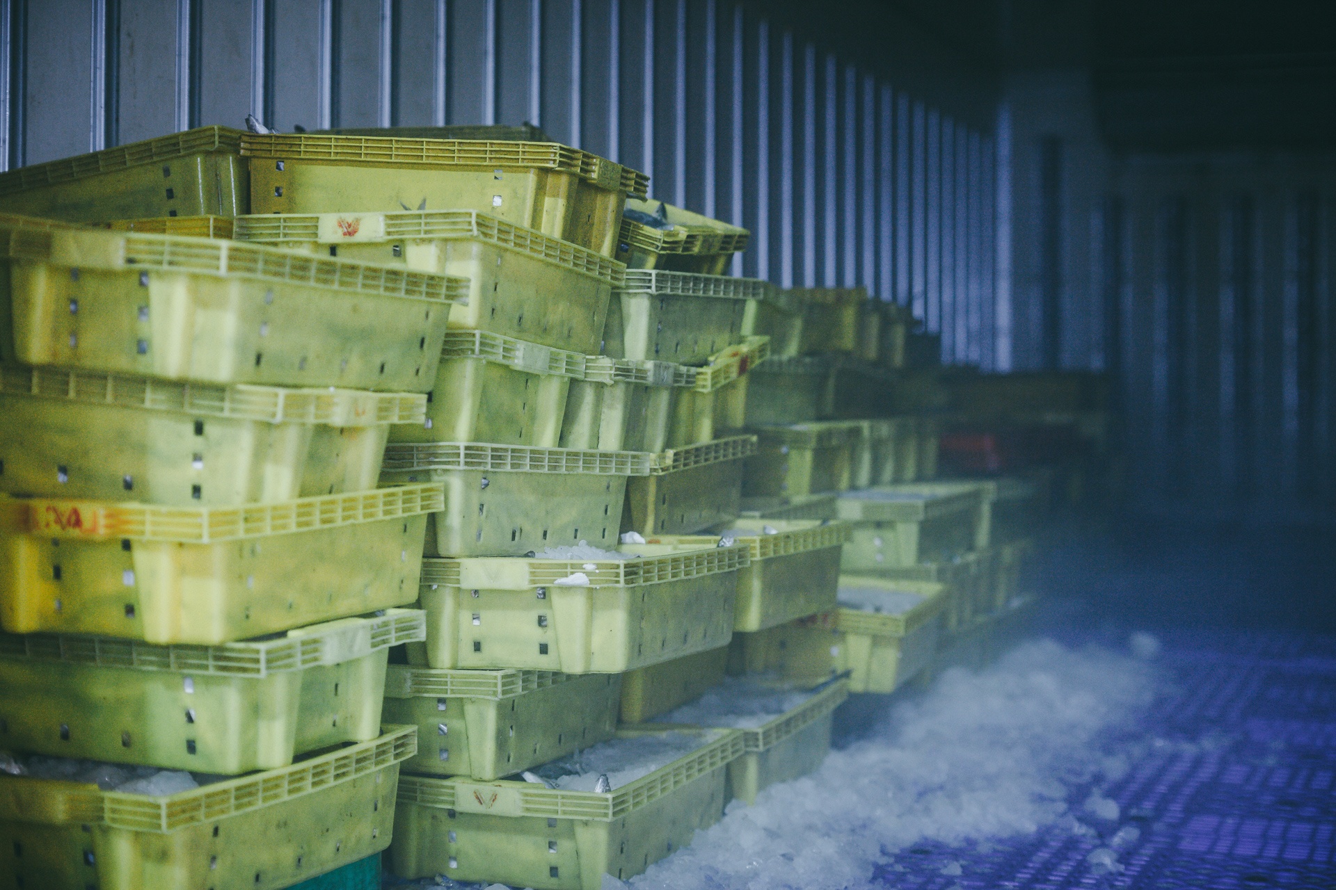 cho dau moi binh dien,  cho dem sai gon anh 7