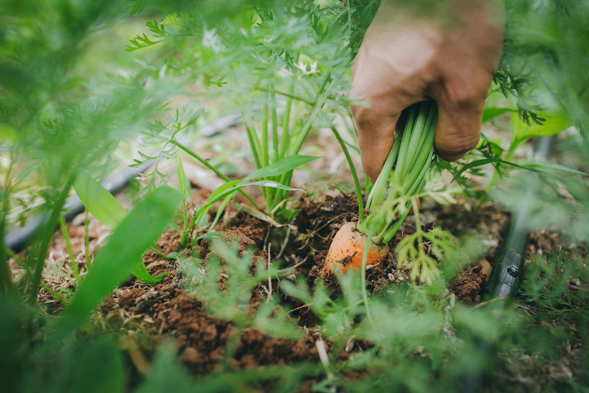 9X bo cong so lam nong dan anh 9