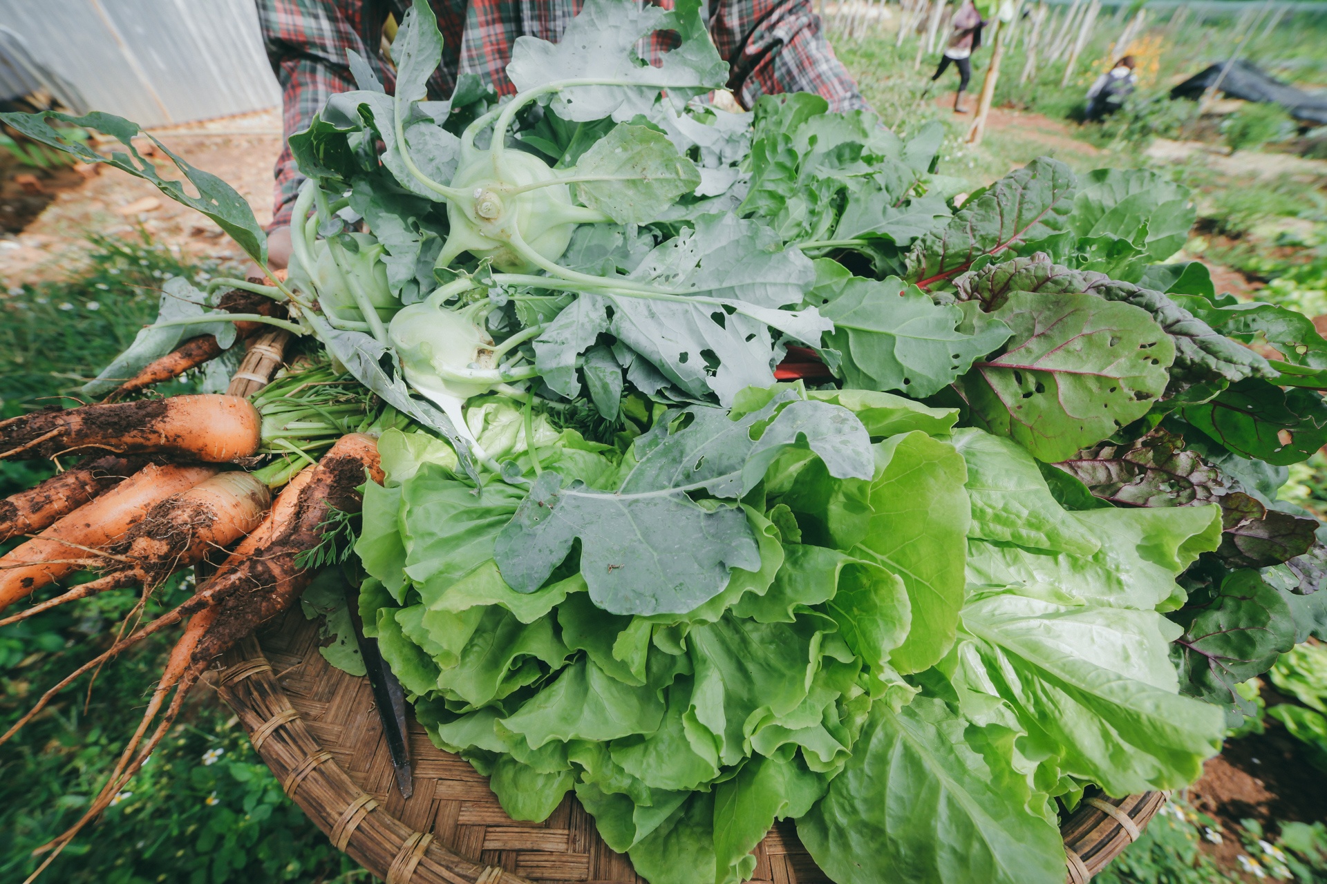 9X bo cong so lam nong dan anh 10