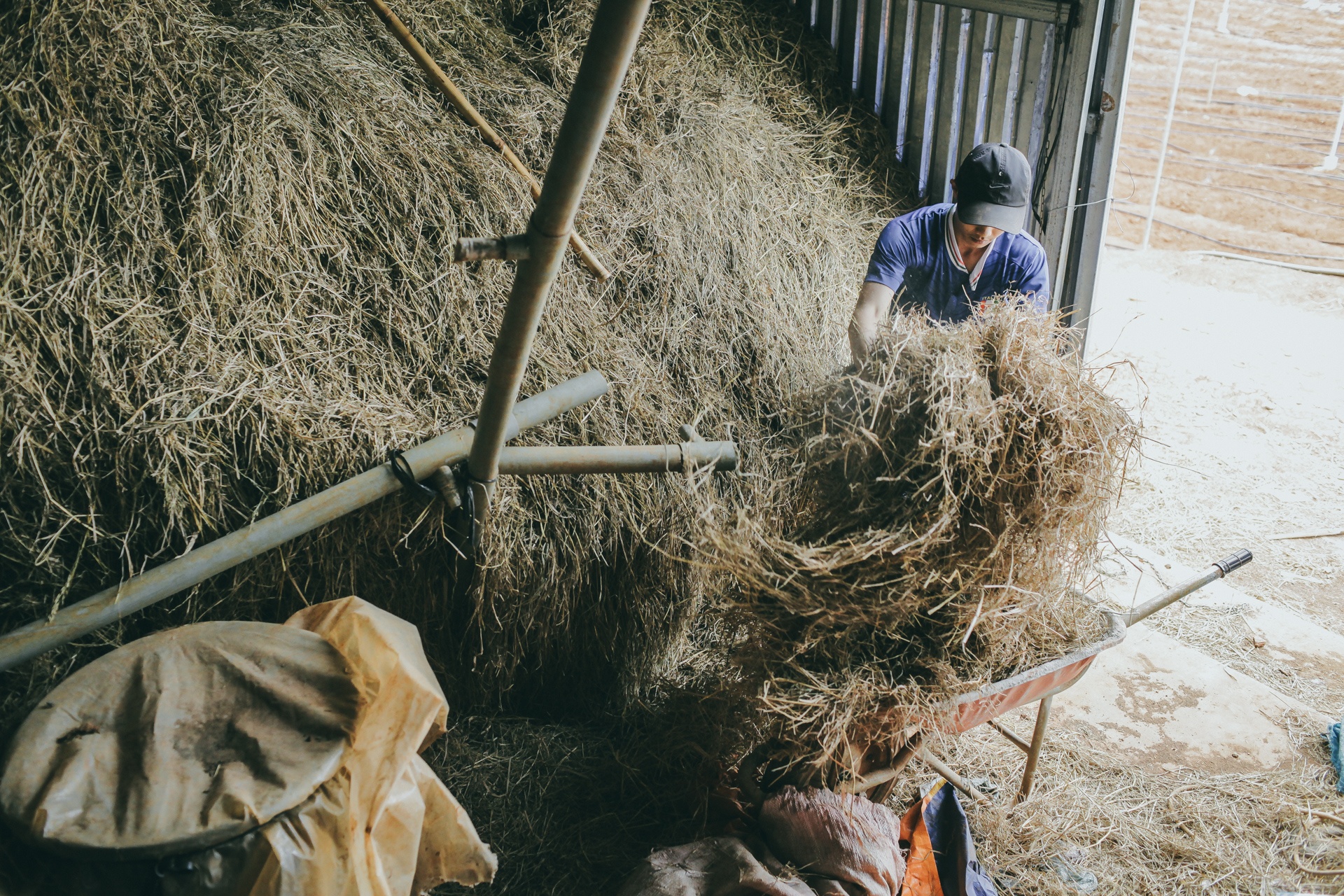 9X bo cong so lam nong dan anh 12