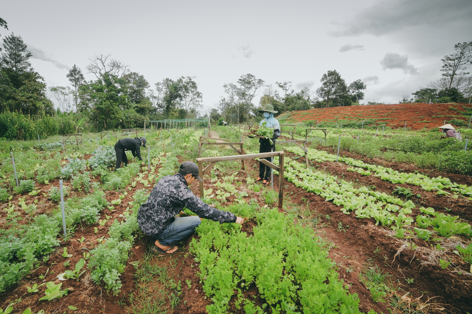 9X bo cong so lam nong dan anh 15