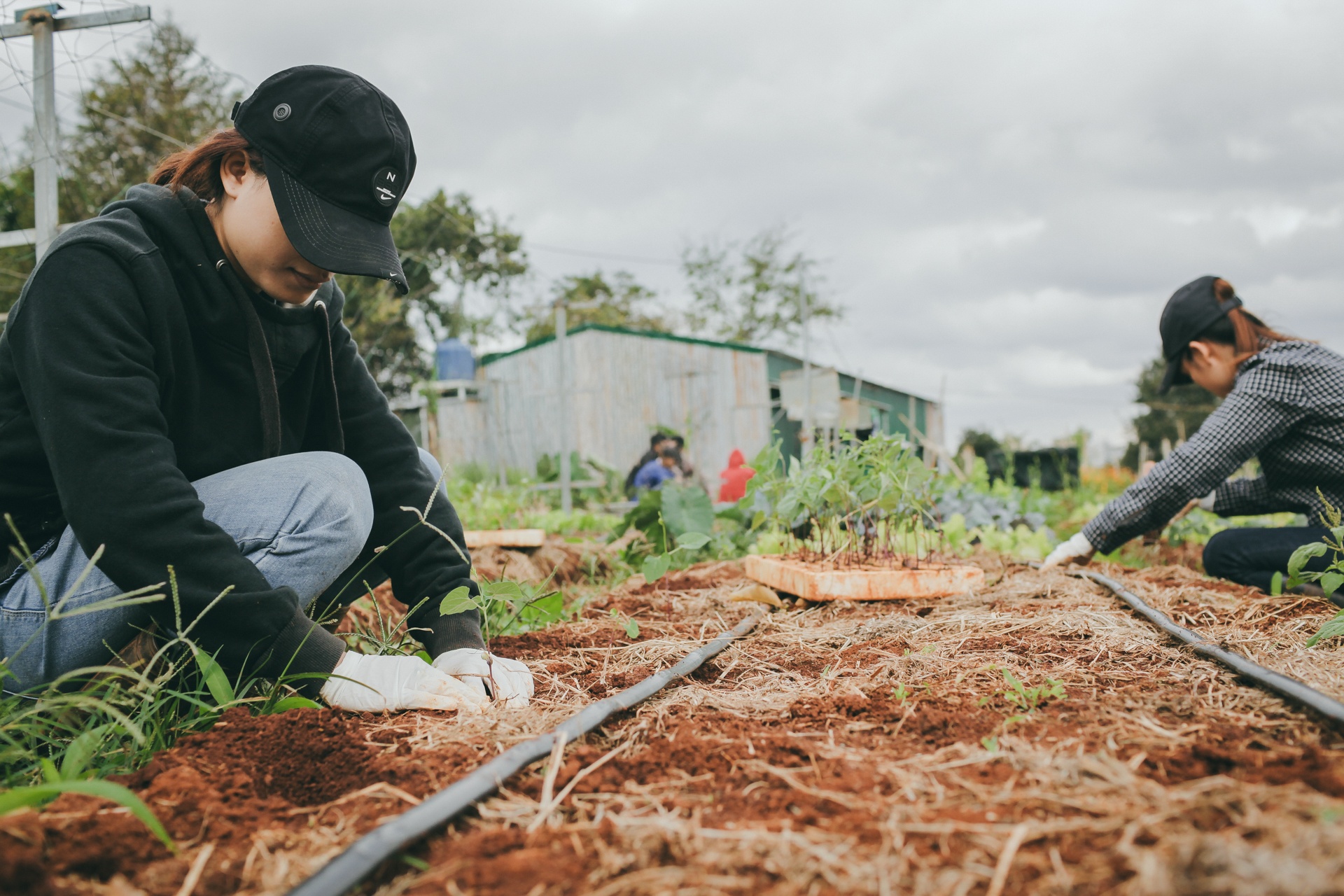 9X bo cong so lam nong dan anh 4