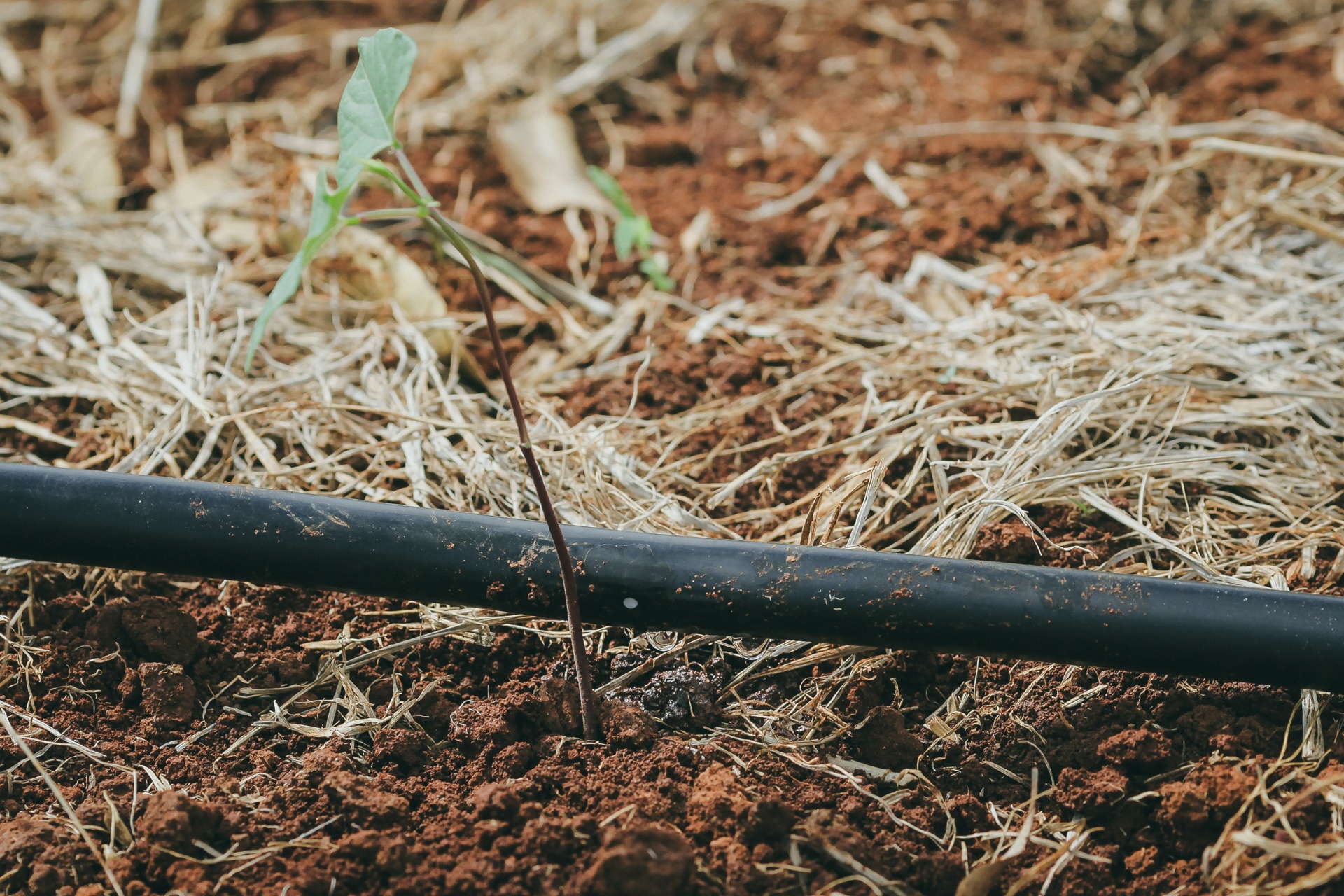 9X bo cong so lam nong dan anh 6