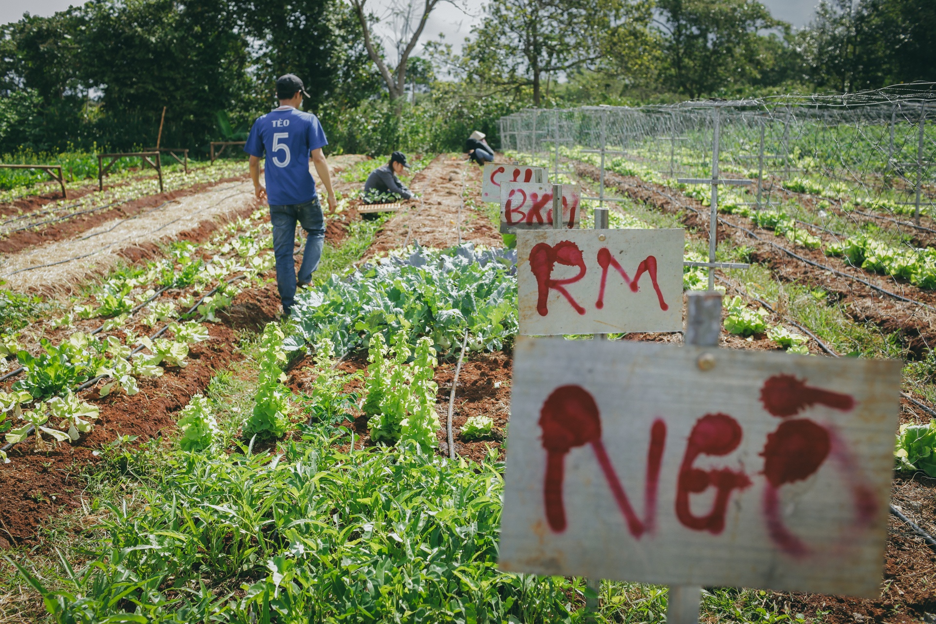 9X bo cong so lam nong dan anh 7