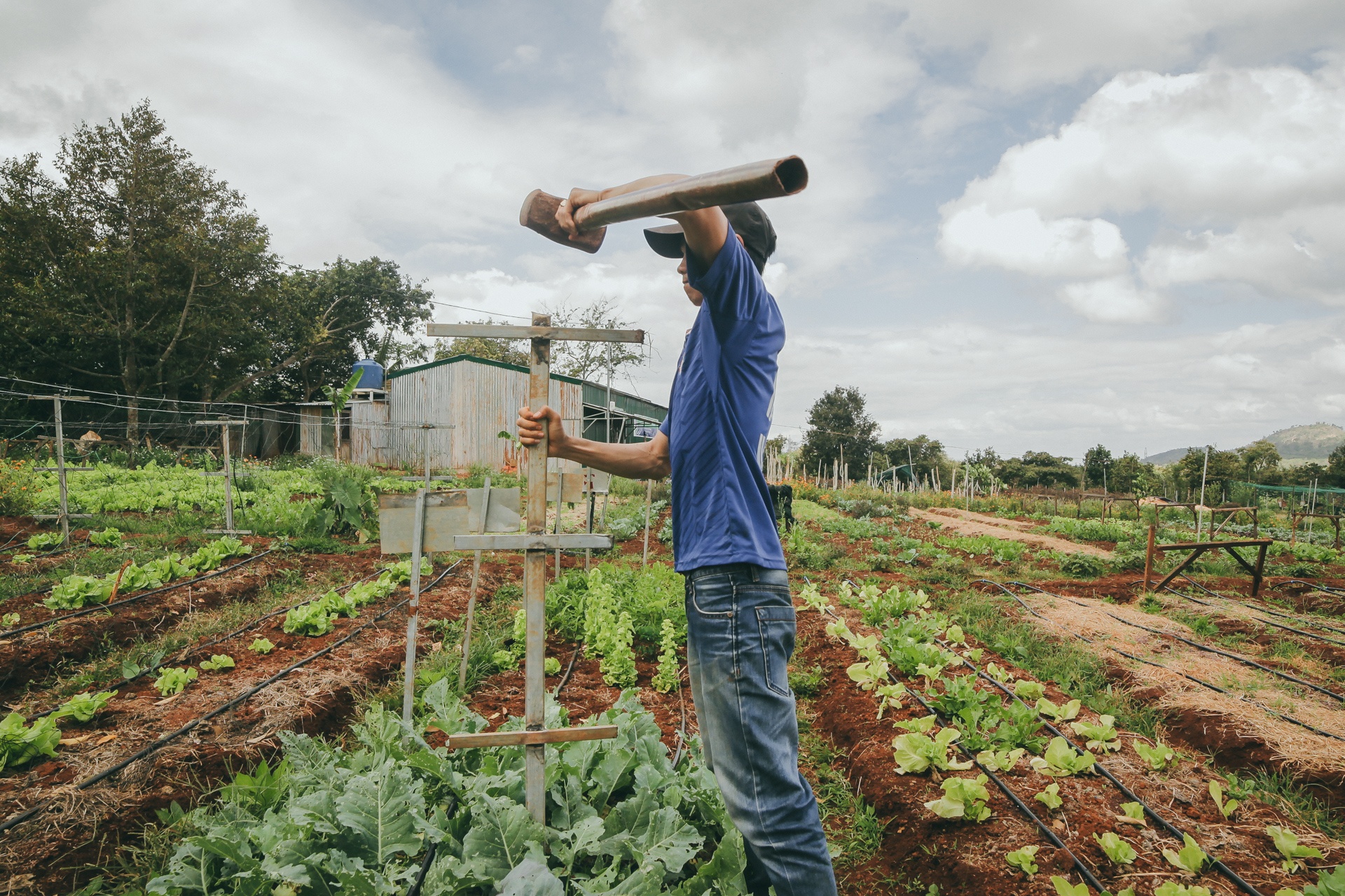 9X bo cong so lam nong dan anh 8
