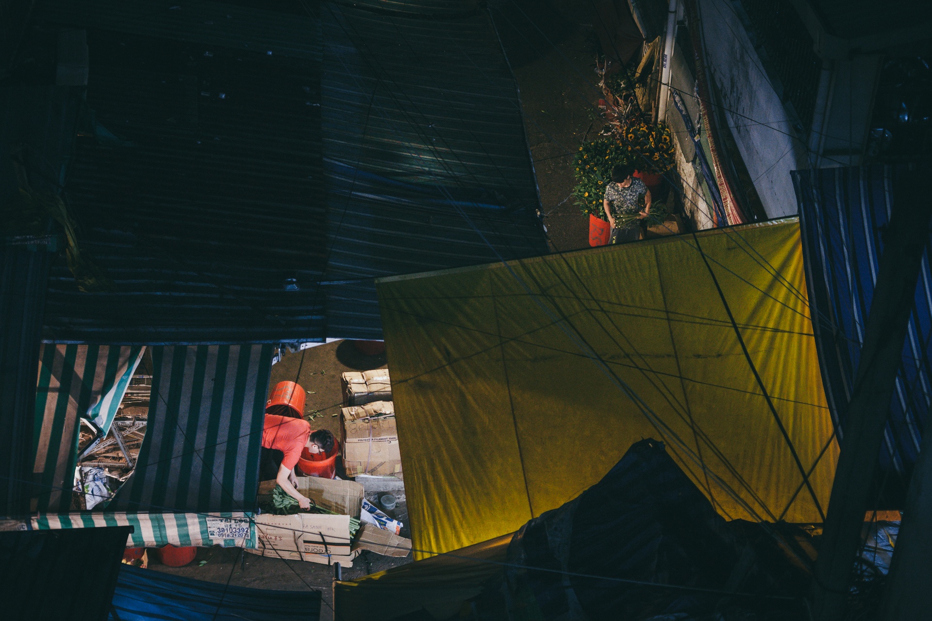 vua hoa nhon nhip suot dem ngay giua trung tam Sai Gon anh 5