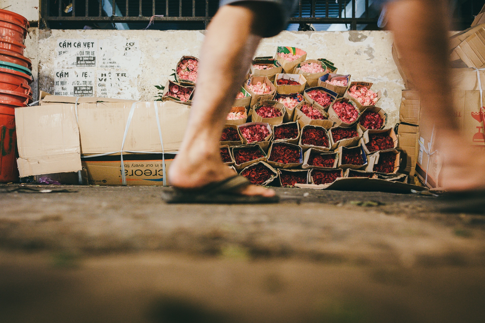 vua hoa nhon nhip suot dem ngay giua trung tam Sai Gon anh 7