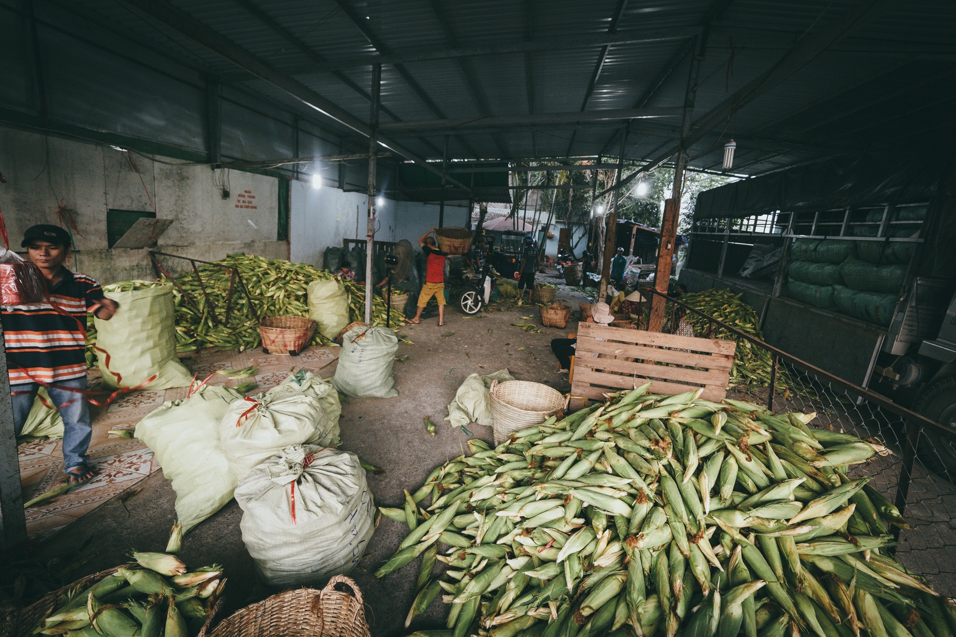 ben trong khu cho bap lon nhat sai gon anh 16