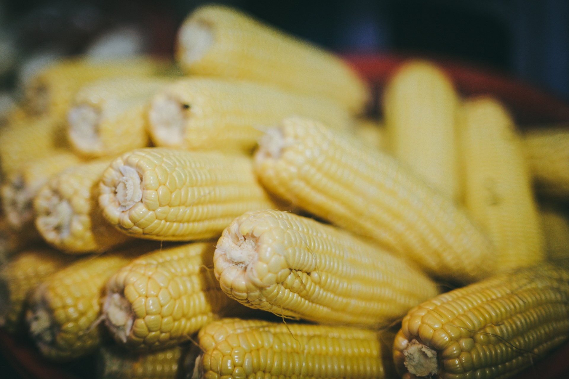 ben trong khu cho bap lon nhat sai gon anh 19