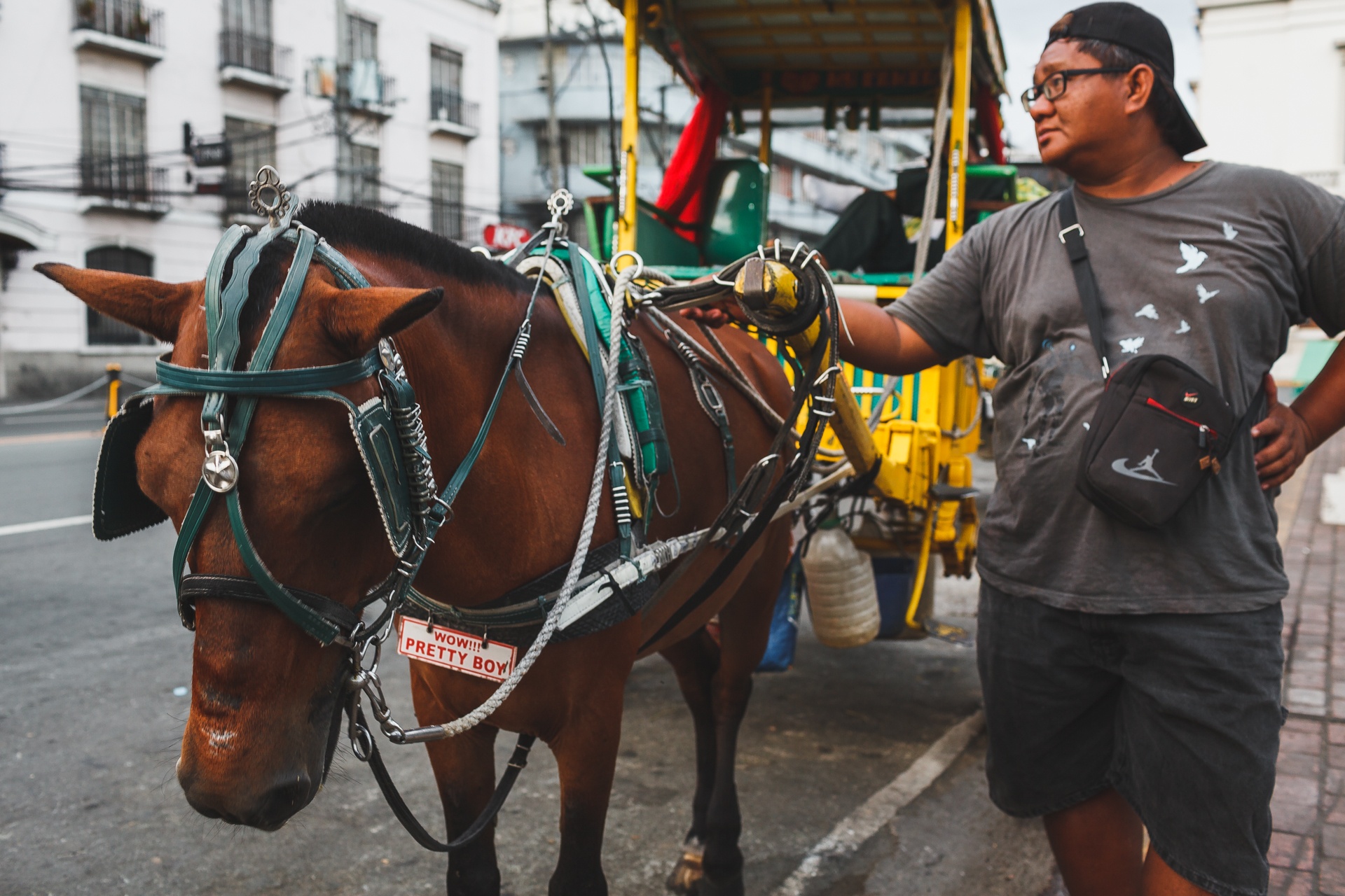 phao dai Santiago anh 14
