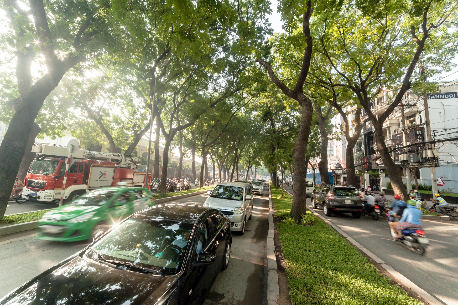 Cay xanh o duong Ton Duc Thang anh 9