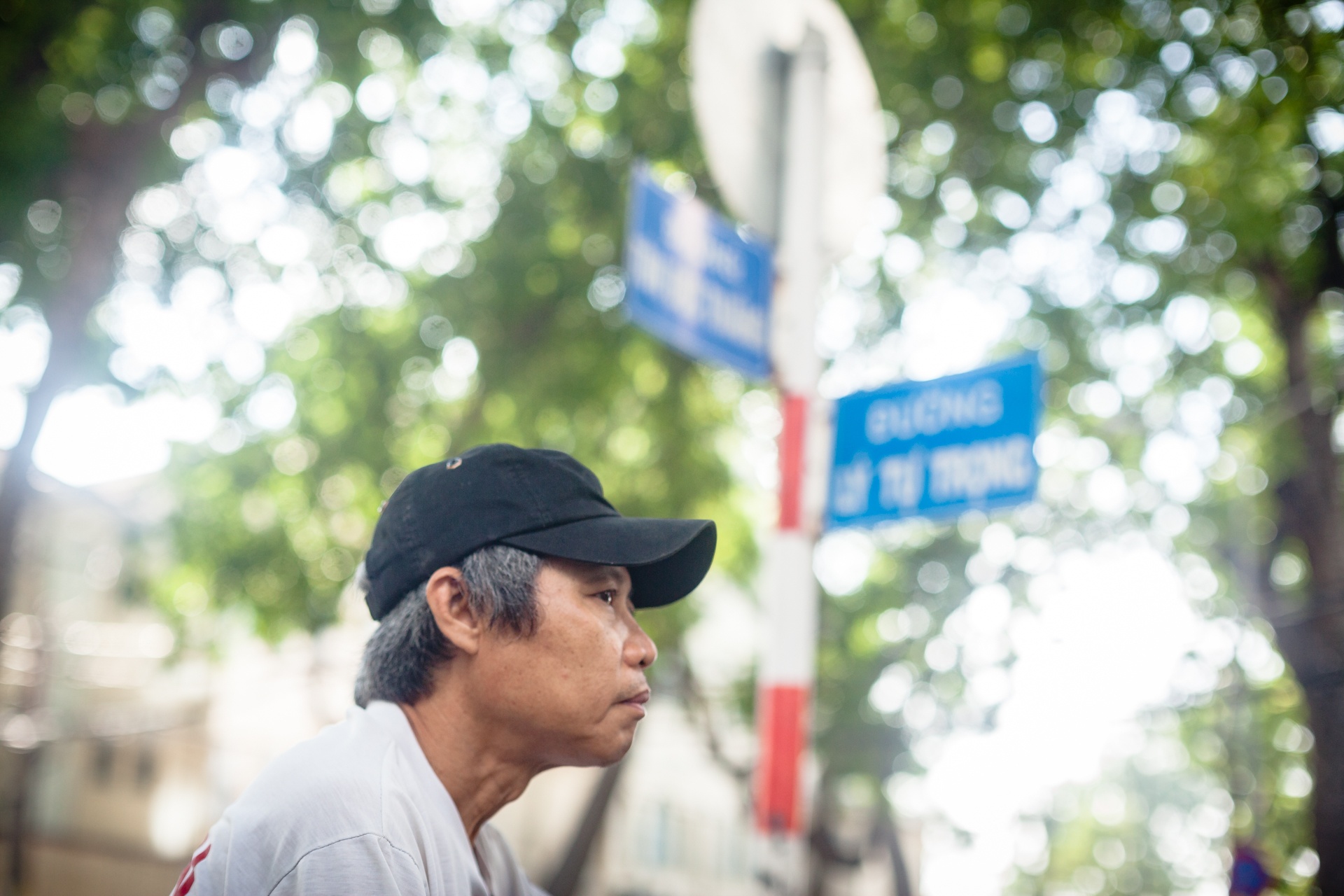 Cay xanh o duong Ton Duc Thang anh 15