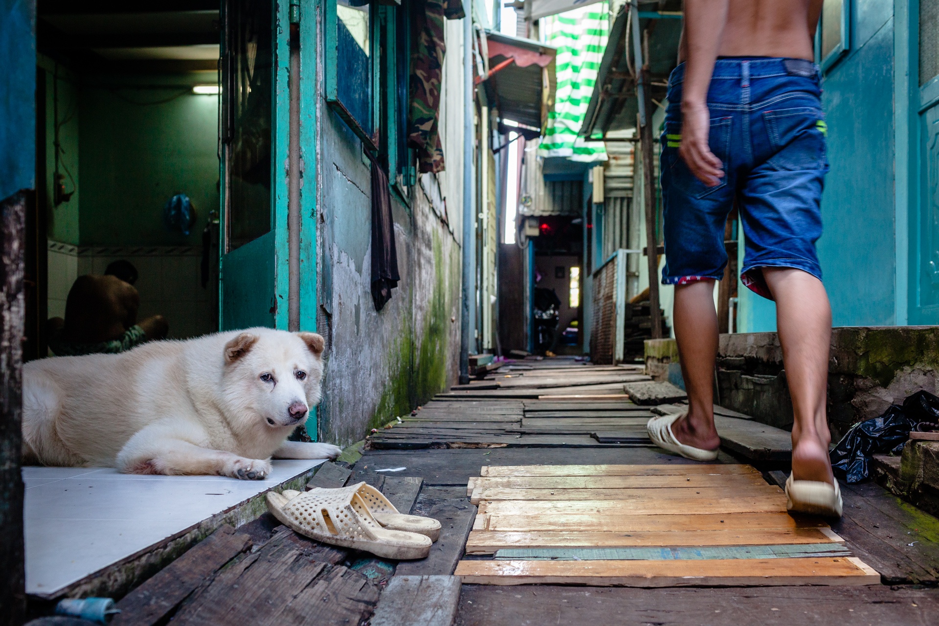 cuoc song trong khu o chuot sap bi giai toa o quan 4 anh 5