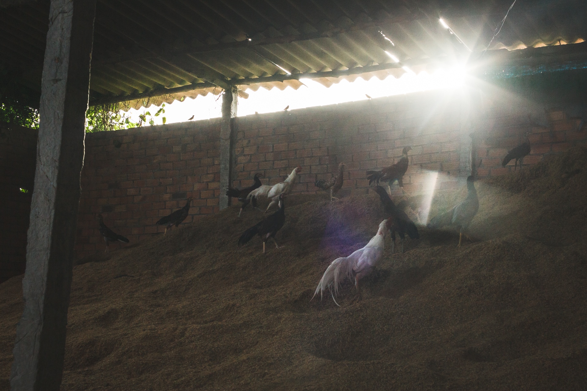 gian nan nghe lam gach nung thu cong anh 14