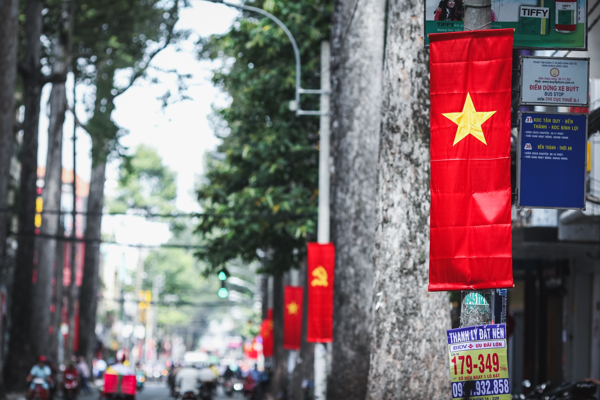 co to quoc ruc ro pho phuong sai gon ngay le quoc khanh anh 1