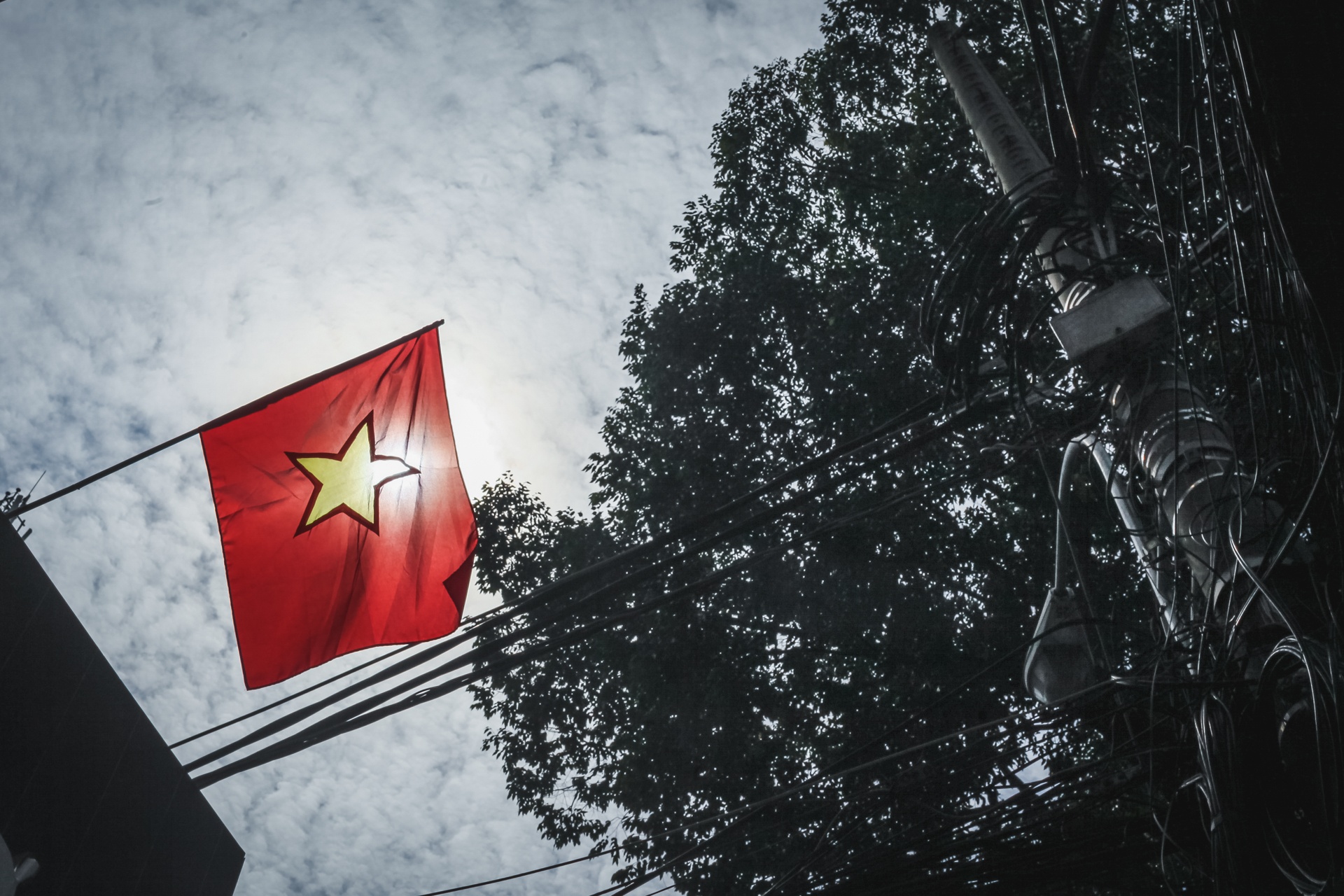 co to quoc ruc ro pho phuong sai gon ngay le quoc khanh anh 11