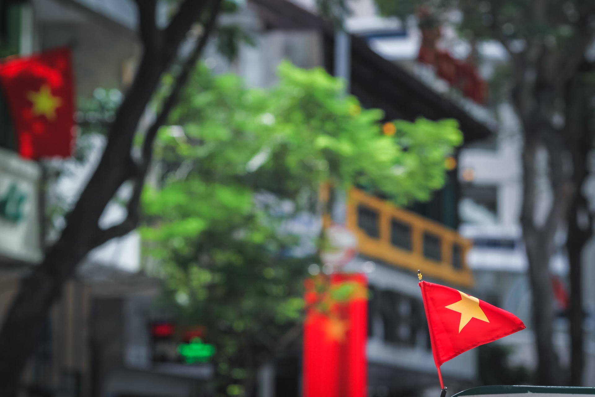 co to quoc ruc ro pho phuong sai gon ngay le quoc khanh anh 8