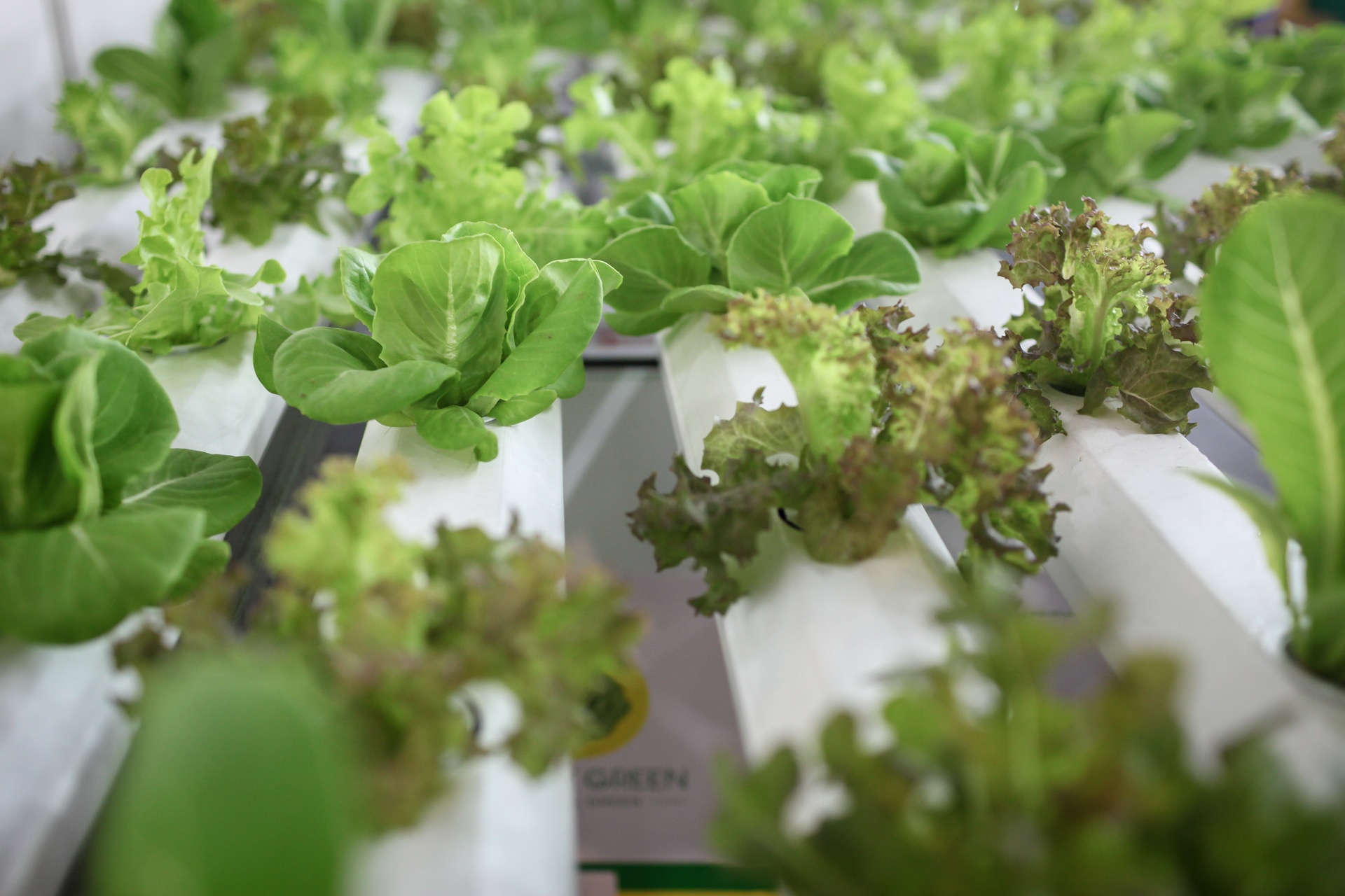 hoi cho nong san thuc pham sach tp.hcm anh 9