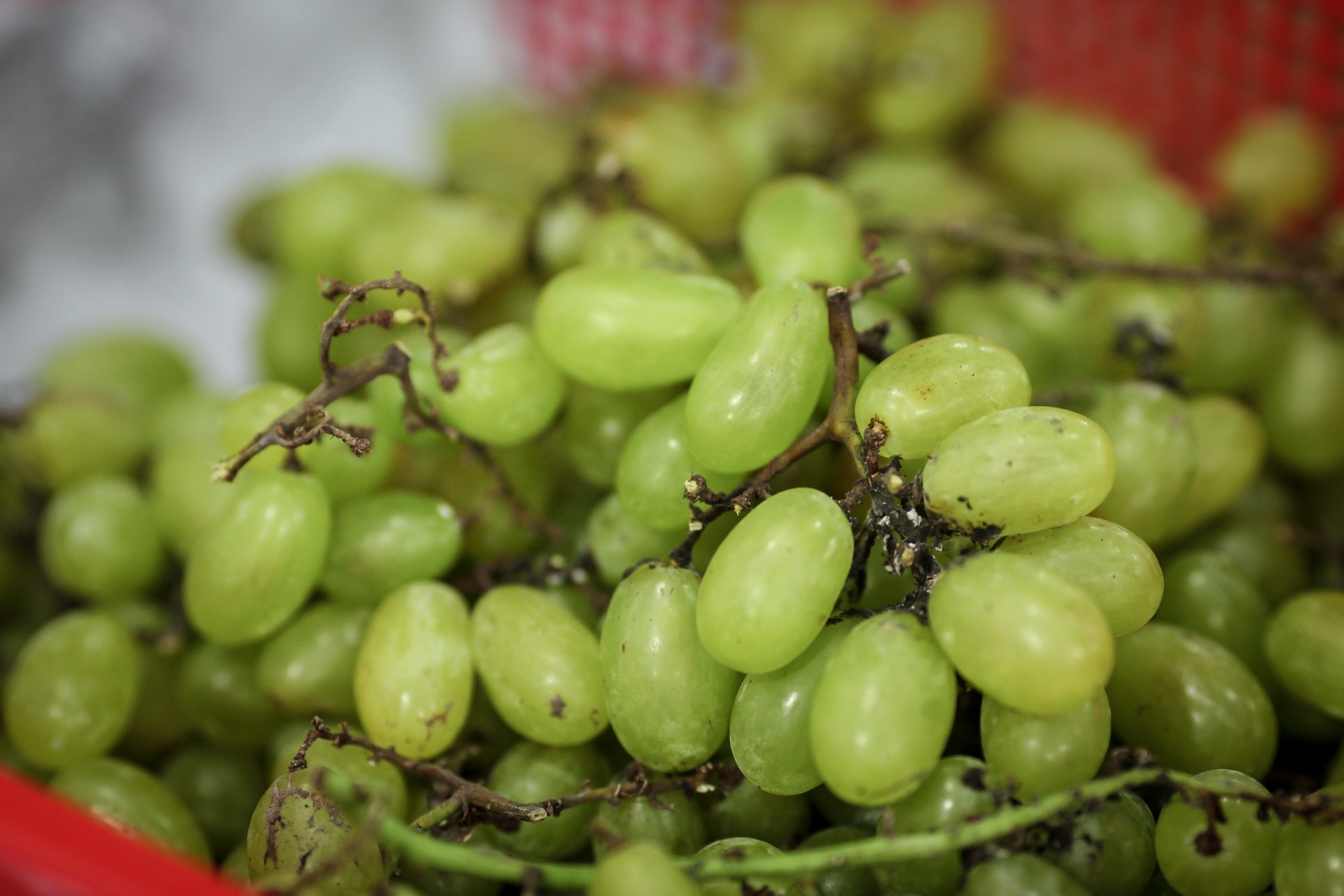 hoi cho nong san thuc pham sach tp.hcm anh 3