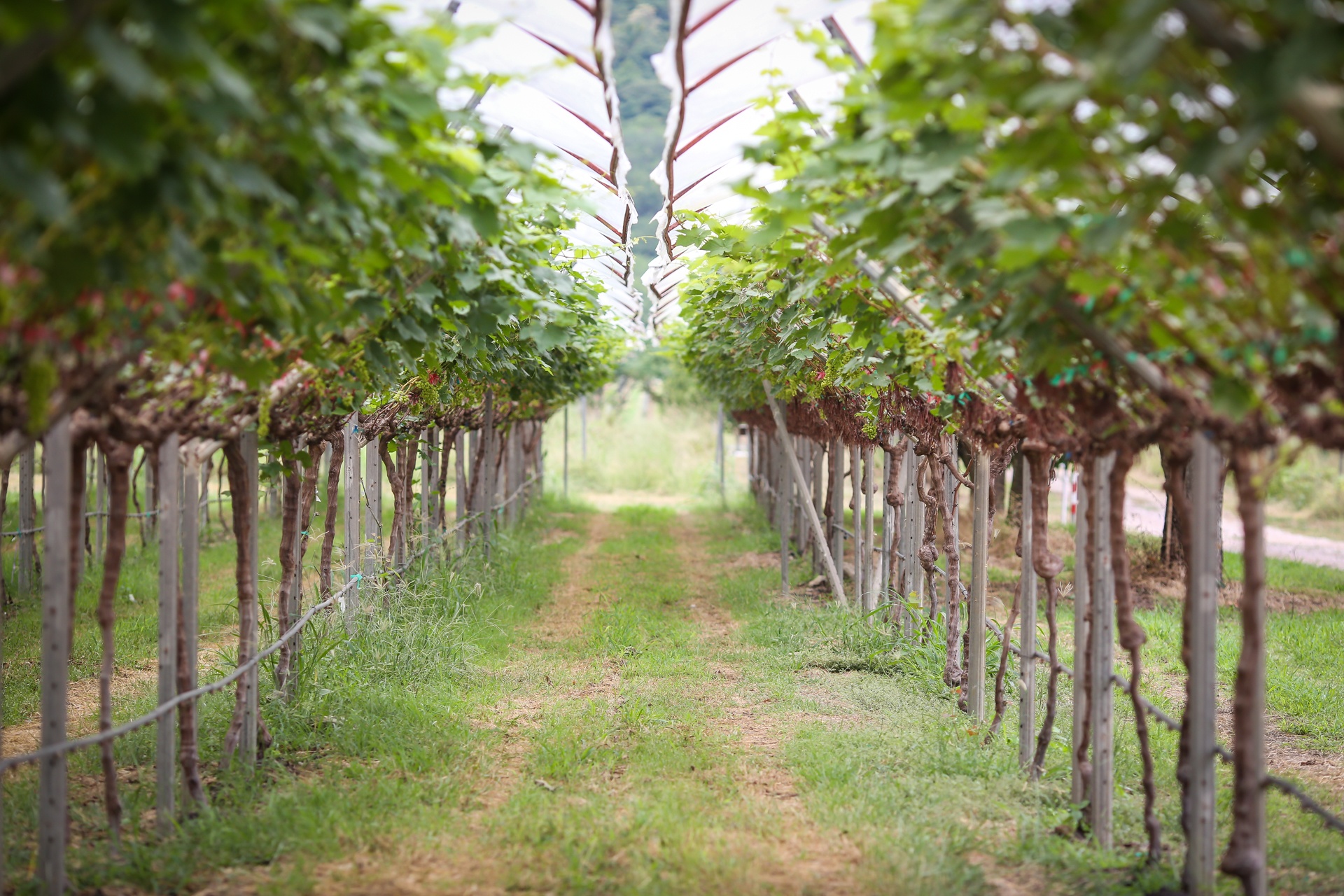 hua hin thien duong danh cho gioi tre o thai lan anh 9