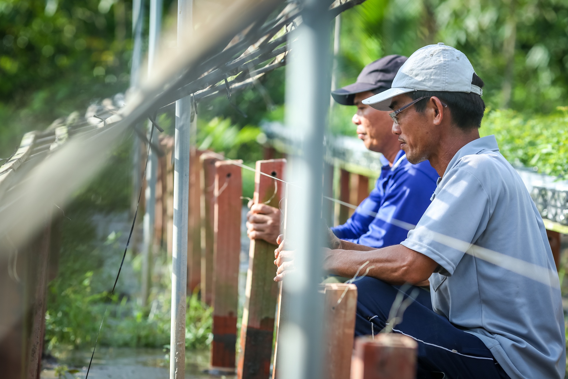 hoa hong sa dec khong du hang ban trong dip tet anh 7