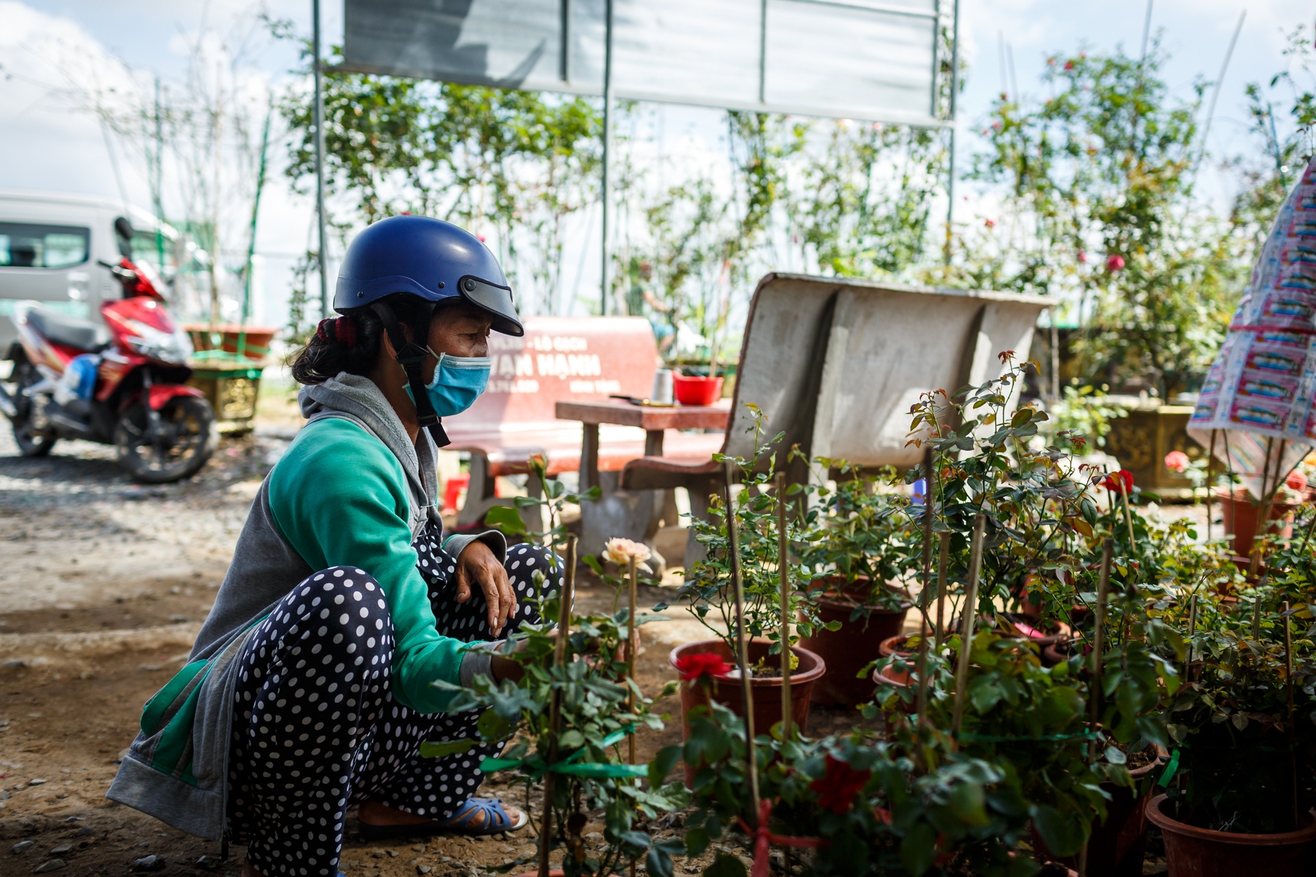 hoa hong sa dec khong du hang ban trong dip tet anh 14