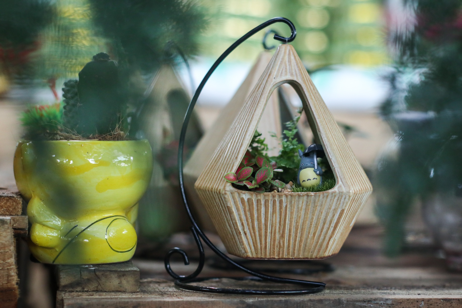 hoa kieng trung quoc lam le tran ve vua hoa lon nhat nam bo anh 5