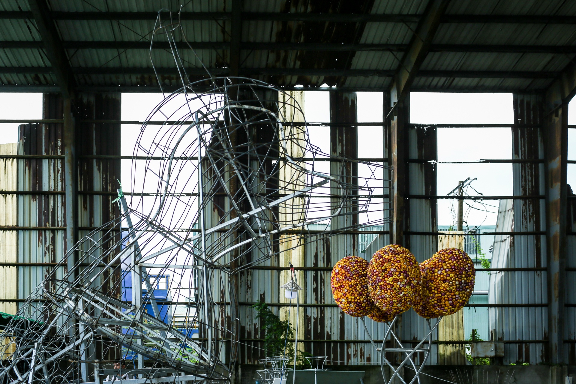 duong hoa nguyen hue anh 5