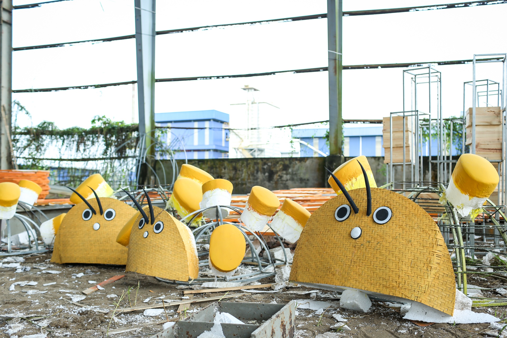 duong hoa nguyen hue anh 3