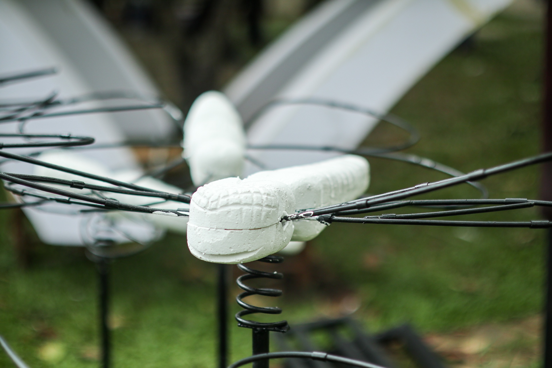 can canh cac linh vat tai duong hoa nguyen hue khi con nam trong xuong anh 9