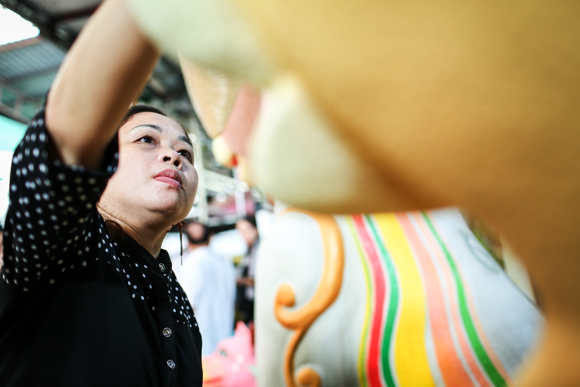 can canh cac linh vat tai duong hoa nguyen hue khi con nam trong xuong anh 6