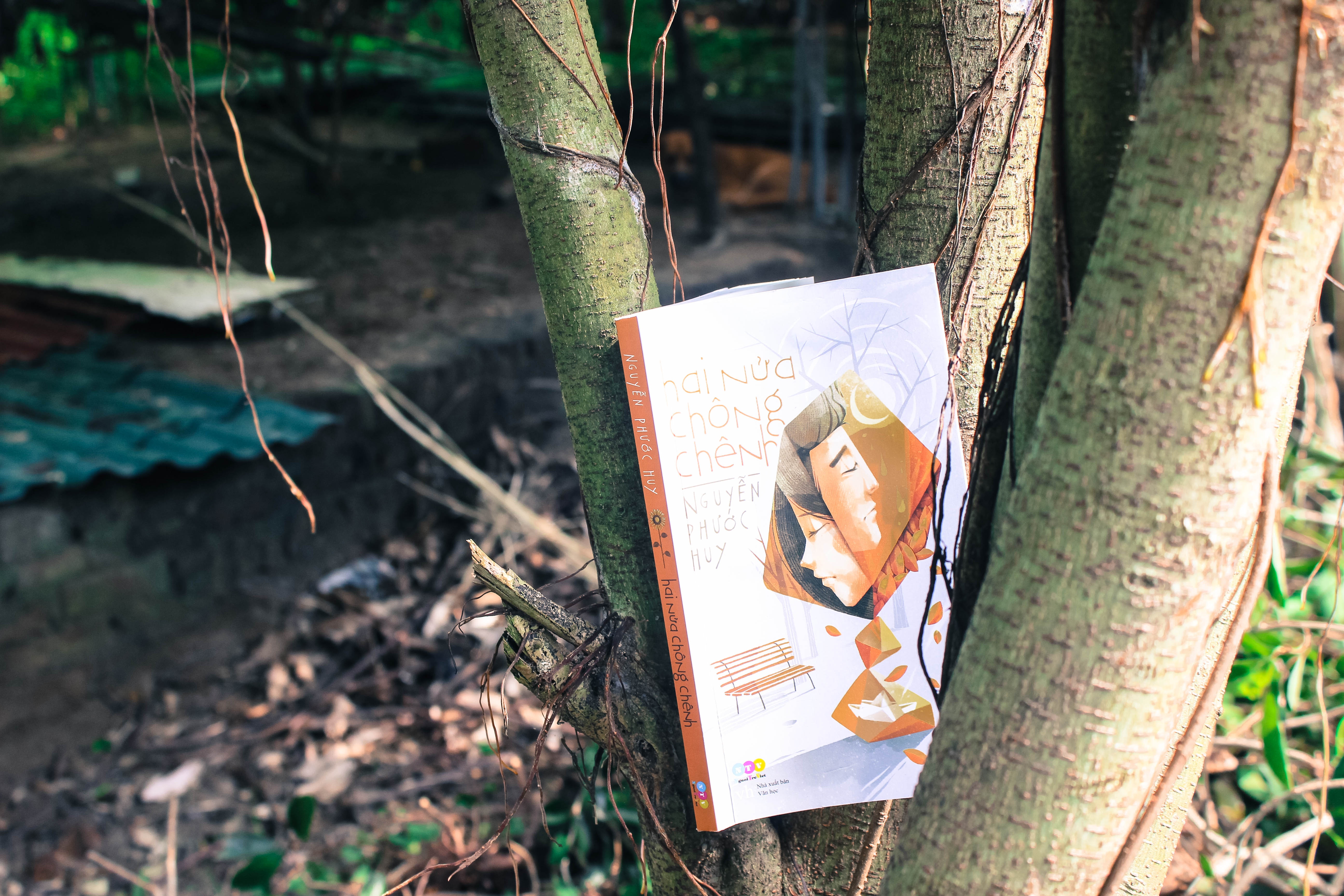 'Hai nua chong chenh' - Khi dam me va co don o cung duong hinh anh