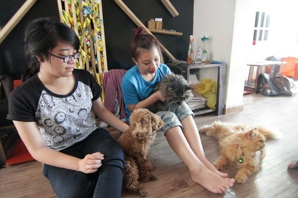 Khách đến quán Hương chủ yếu là học sinh, sinh viên.