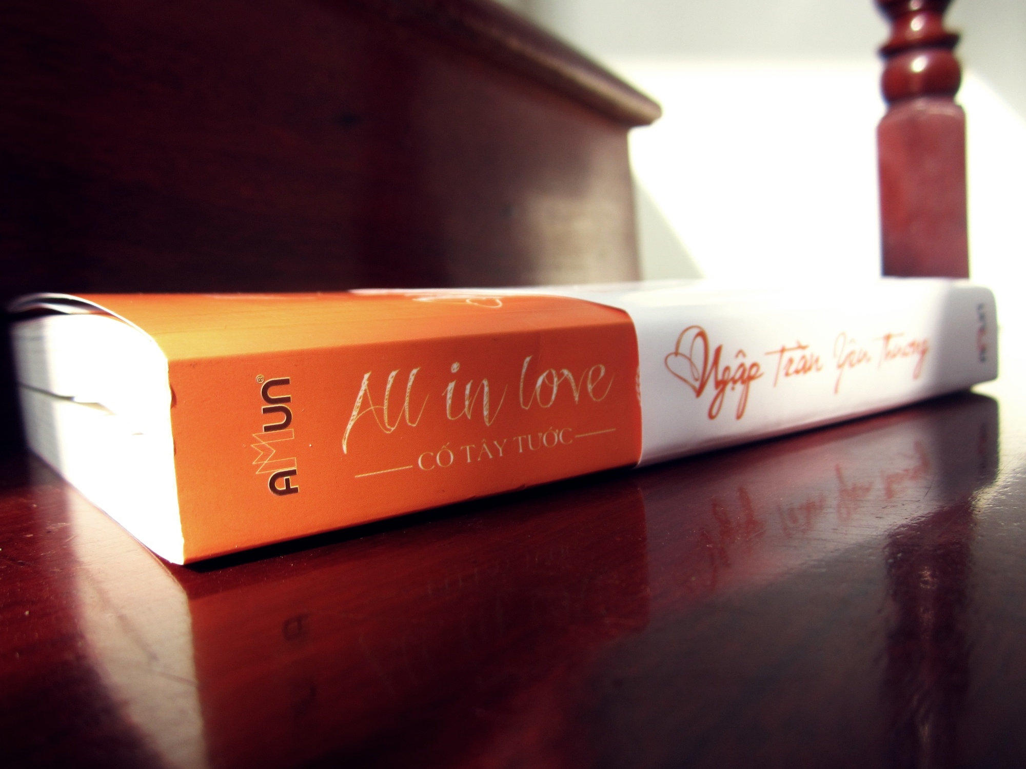 All in love – Cuon tieu thuyet cua tinh than va tinh ban hinh anh