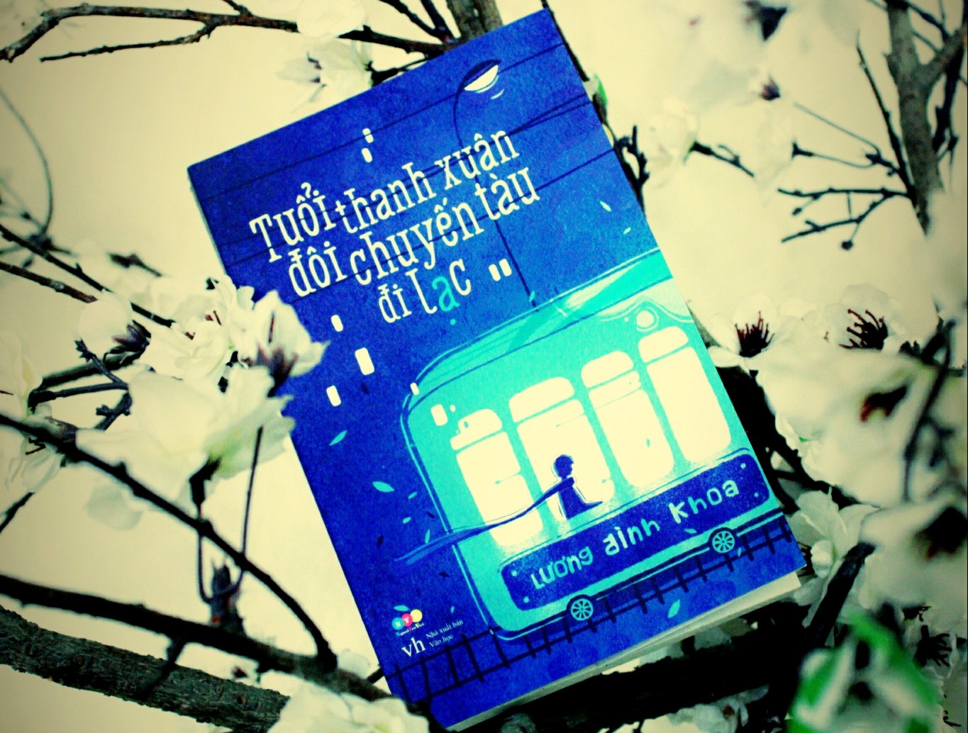 Tuoi thanh xuan va doi chuyen tau di lac hinh anh