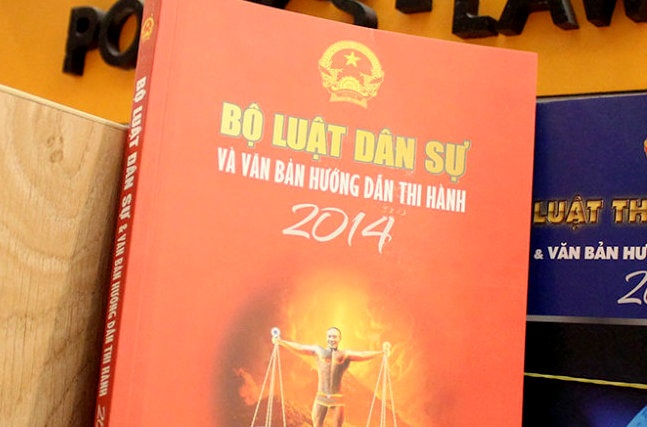 Ai dua Cong Ly mac quan con len bia sach luat? hinh anh