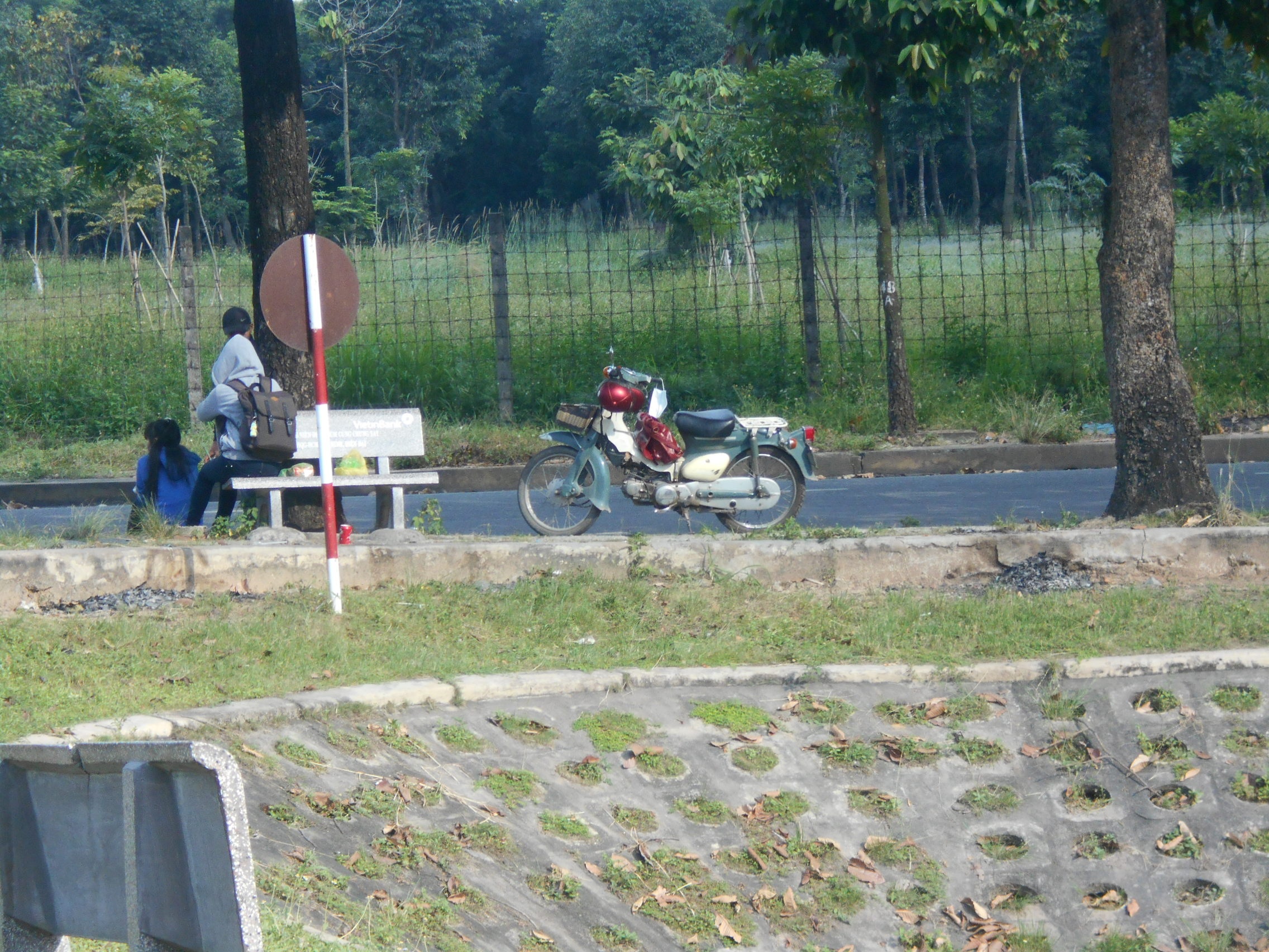 Địa điểm hồ nước này là nơi tụ tập của rất nhiều sinh viên.