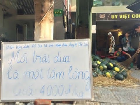 Dan mang ru nhau mua dua hau cuu nong dan Quang Nam hinh anh