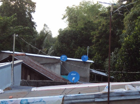 Mien Tay loan chao truyen hinh lau hinh anh