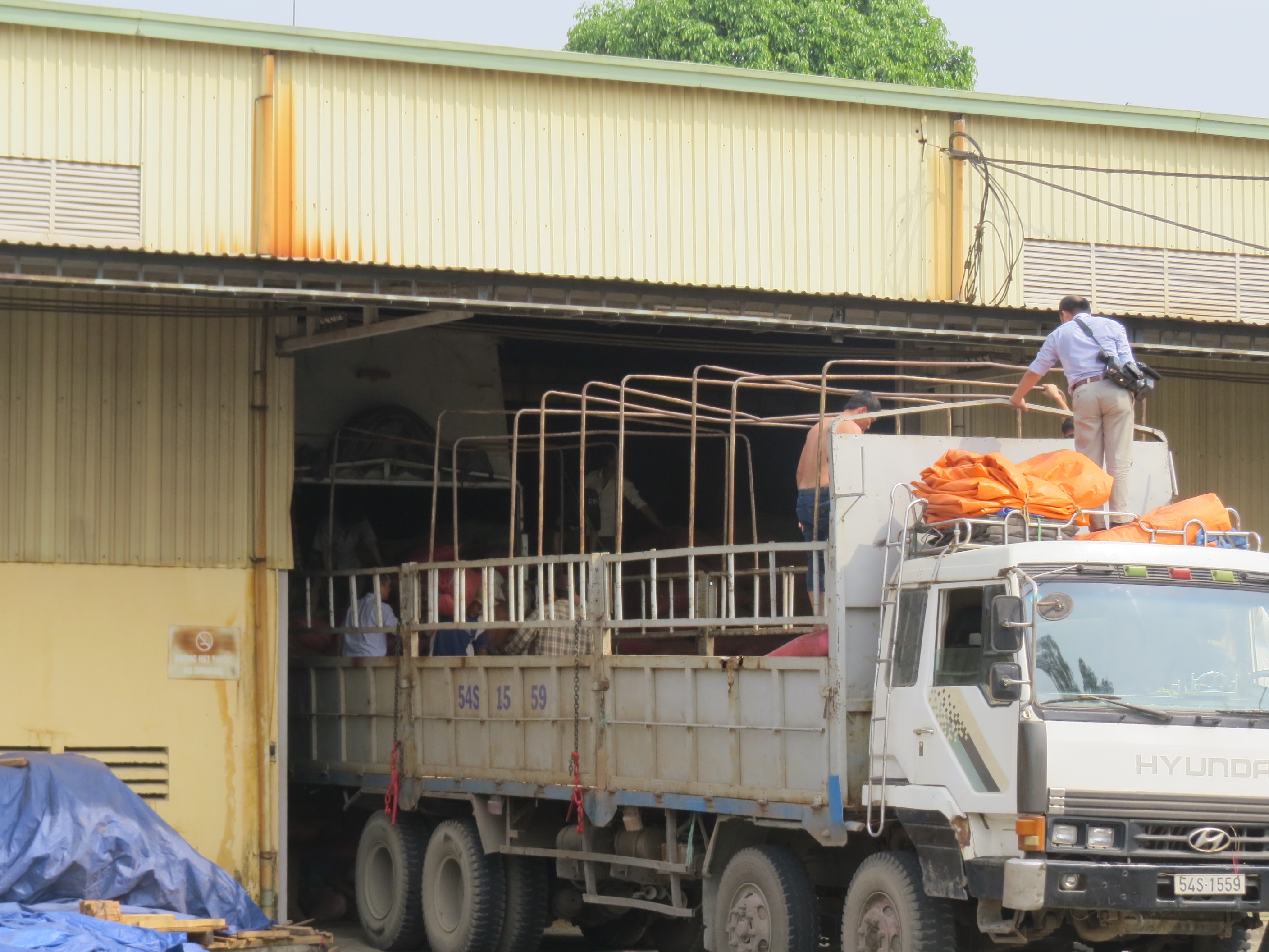 Cuong che thi hanh an vu 7 ngan hang vay kho ca phe xiet no hinh anh