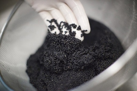 Dai gia Sai Gon chi 1 ty mo tiec trung ca xa xi cuoi nam hinh anh