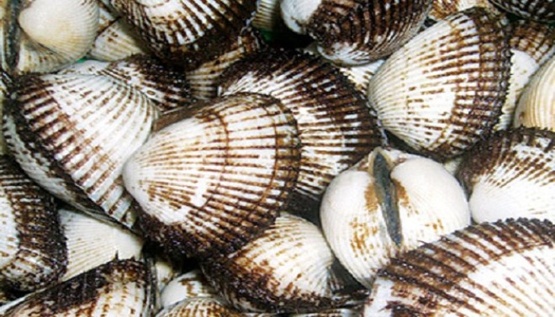 So Trung Quoc nhap lau vao Viet Nam hinh anh