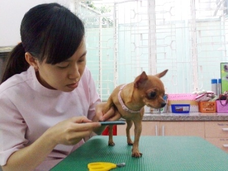 Nhung nghe 'doc' thu nhap ngat nguong chi co tai Viet Nam hinh anh