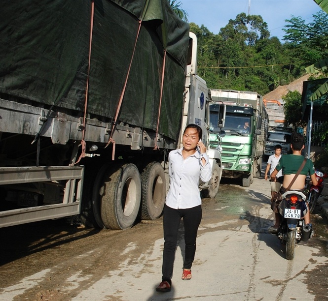 Các xe chở gạo chen chúc nhau xuống bờ sông.